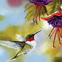 Nature Notecards & Stationery